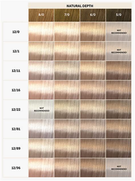 best high lift blonde hair dye|ion high lift color chart.